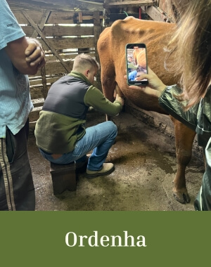 Mobile Ordenha 300x380