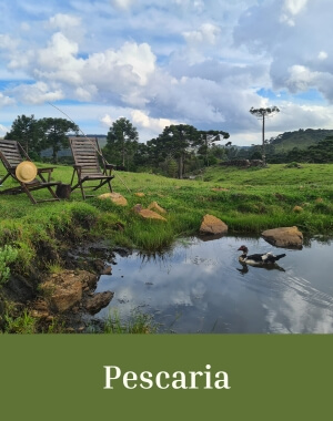 Mobile Pescaria 300x380