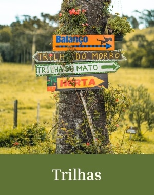 Mobile Trilhas 300x380